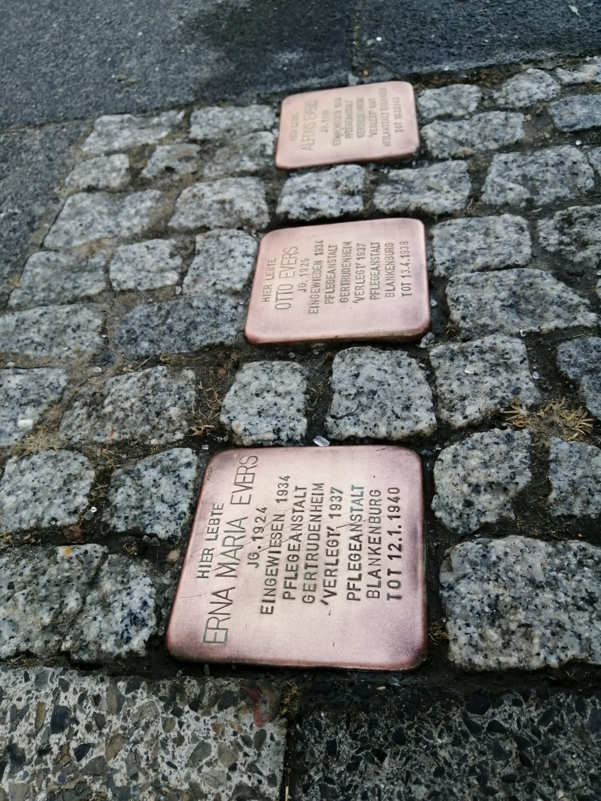 Stolpersteine Gedenkkreis Wehnen e.V.Gedenkkreis Wehnen e.V.